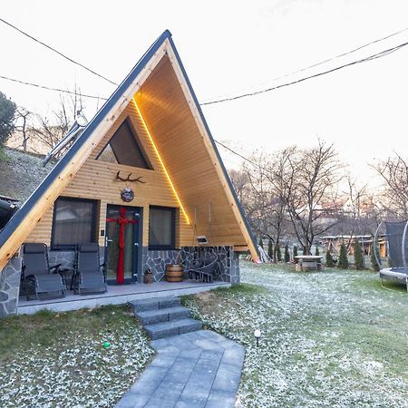 Pensiunea Casa Iulia A-Frame Martinie Ngoại thất bức ảnh